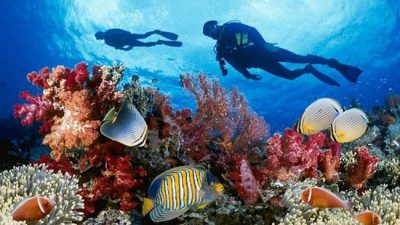 4 Wonderful Sites In Asia For Scuba Diving